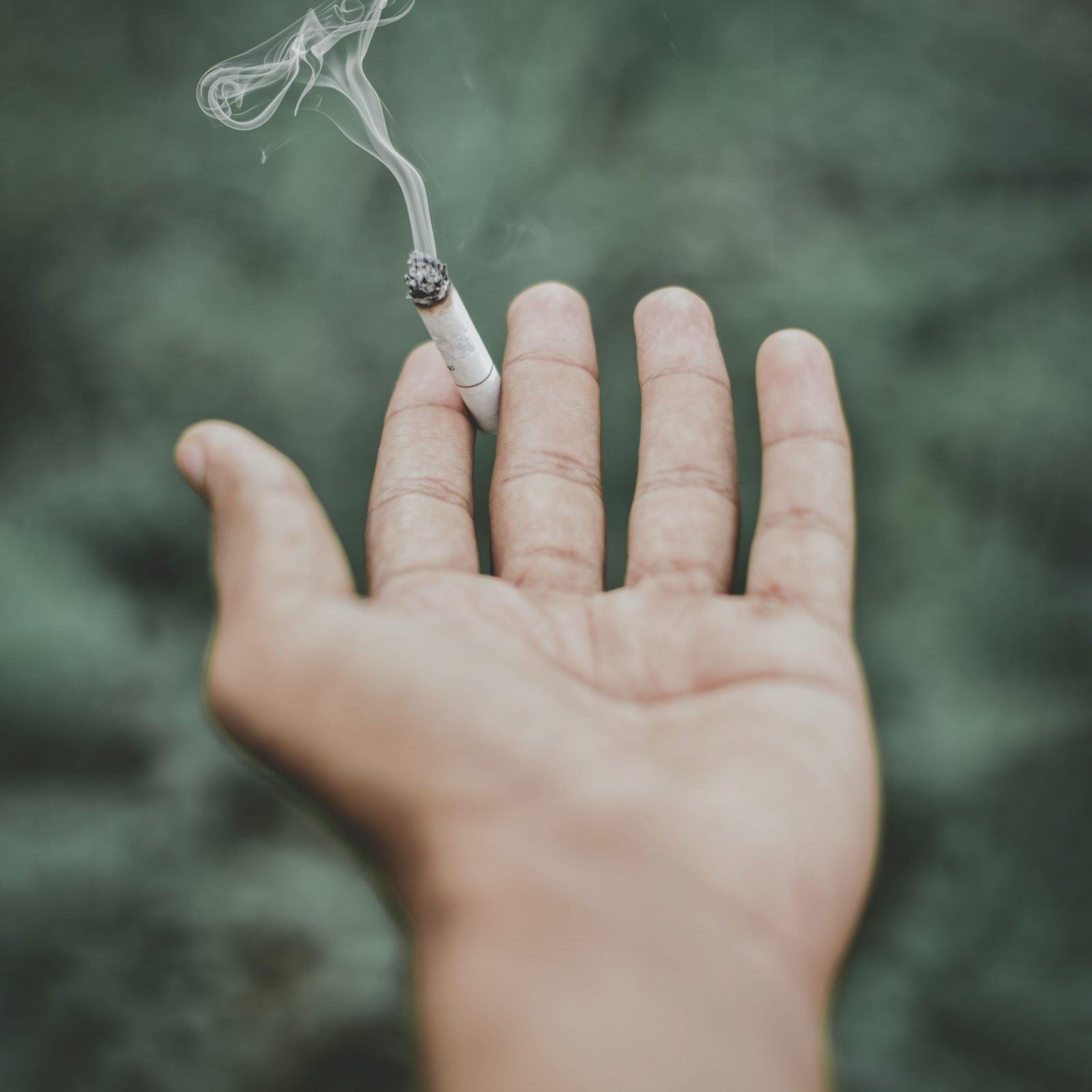pexels-mrjb-2623798 pexels-mrjb-2623798